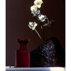 Black Creme Extrait de Parfum