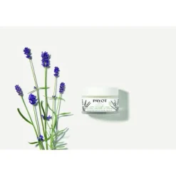 Herbier Crème Universelle visage à l'huile essentielle de lavande