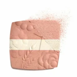 LES SIGNES DE CHANEL