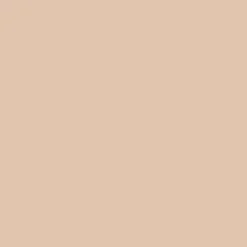 Light Luminous Foundation 25