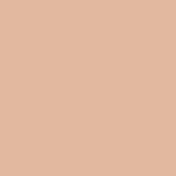 Light Luminous Foundation 25