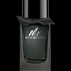Mr. Burberry Eau de Parfum