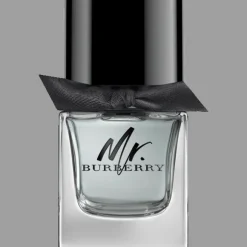 Mr. Burberry Eau de Toilette