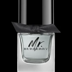 Mr. Burberry Eau de Toilette