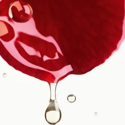 N°1 DE CHANEL CREME MIT ROTER KAMELIE