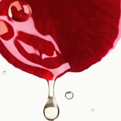 N°1 DE CHANEL CREME MIT ROTER KAMELIE – NACHFÜLLUNG