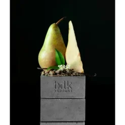 Pas ce Soir Extrait de Parfum Spray