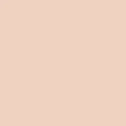 Perfect Teint Concealer