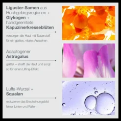 Phyto Nature Oxygen Cream