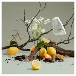 Quercus Cologne Spray