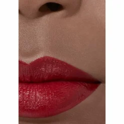 ROUGE ALLURE