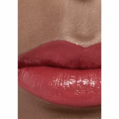 ROUGE ALLURE LAQUE