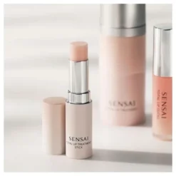 TOTAL LIP TREATMENT STICK