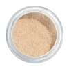 Translucent Loose Powder 8